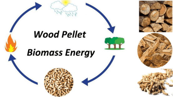 Глобальные новости индустрии биомассы (1) (1)