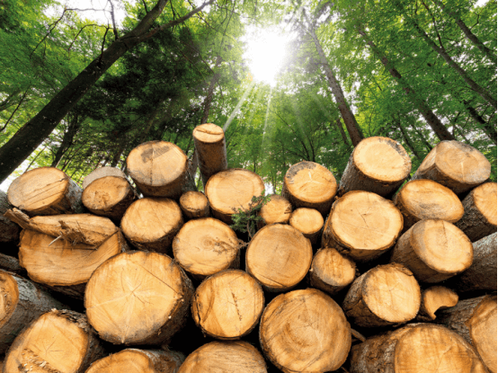 Kingoro Biomassepelletanlage bereit für Armenien (5)